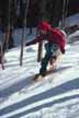 Snowshoeing fun in the Brant Lake area