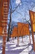 Picture of The Gates along the West Drive near 70th Street in Central Park, New York City, Christo and Jeanne-Claude, photo of The Gates in Central Park, New York copyright Carl Heilman II