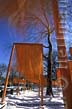 Picture of The Gates in motion along the West Drive near 70th Street in Central Park, New York City, Christo and Jeanne-Claude, photograph of  The Gates, Central Park in NY copyright Carl Heilman II, Brant Lake, New York