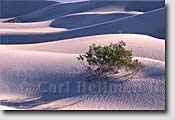 Fine art prints - sand dune detail at Death Valley National Park