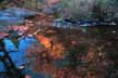 Reflections in the outlet of Stony Pond
