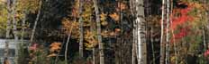 Chapel Pond fall color and Adirondacks panorama