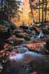 Spuytenduivel Brook in the Pharaoh Wilderness