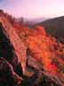 Morning light on fall colors on Peaked Mtn.