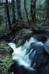Vanderwhacker Brook