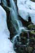 Spring freshet in the Brant Lake area