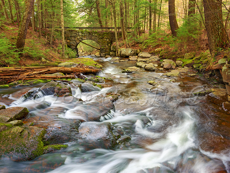 Adirondacks Calendar 2024 - The Adirondacks Wall Calendar - Adirondack