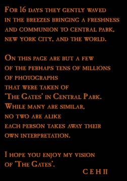 Personal perspective on The Gates, Central Park, New York City, Christo and Jeanne-Claude, photos of The Gates, Central Park, New York City in this site copyright Carl Heilman II, Brant Lake, NY