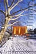 Tree above The Gates photo at the Conservatory Water in Central Park, New York City, Christo and Jeanne-Claude, photograph of The Gates, Central Park, NY City copyright Carl Heilman II, Brant Lake, NY