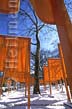 Underneath The Gates photo taken along the West Drive near 70th Street in Central Park, New York City, Christo and Jeanne-Claude, photograph of 'The Gates, Central Park, NYC' copyright Carl Heilman II