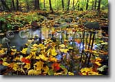 Lake George photos and fine art prints - nature photography print on Buck Mountain in the Lake George area, New York