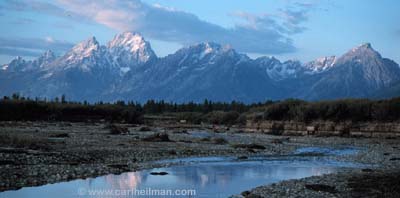 Nature stock photography - Elk in the Tetons - Adirondack Park, Adirondacks, New York, Catskills, Acadia, Aruba, Gaspe, Cape Breton, Lake George, Smokies, Montana, High Peaks, Big Bend, Death Valley, Tetons, Lake Winnipesaukee, Squam Lake stock photography