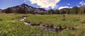 Alpine meadow in the Tobacco Root Range