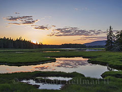 Small waterfall near Blackwoods Campground, Acadia National Park nature photo workshop with Carl Heilman II