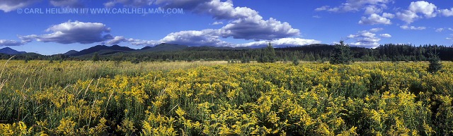 Adirondack Digital Photo Woirkshop - photo by Carl Heilman during a summer landscapes workshop