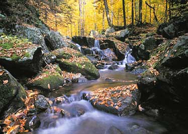 Adirondack Photography Workshop - Fall Landscapes