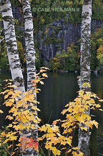 Chapel Pond