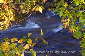Detail on the Ausable River