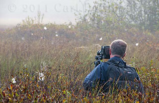 Misty morning light at the edge of a pond during a 5 day High Peaks workshop