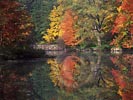 Adirondack wallpaper - Click for preview - Brant Lake, New York fall nature photograph - free Adirondack nature photography wallpaper copyright by Carl Heilman II, Brant Lake, NY