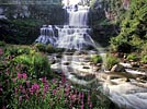 Chittenango Falls wallpaper - Click for preview - Finger Lakes wallpaper, Brant Lake, New York State prints and pictures - free Finger Lakes and NYS desktop wallpaper, Wild New York nature photos wallpaper copyright Carl Heilman II, Brant Lake, NY
