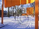 Click for preview - Christo and Jeanne-Claude - The Gates, Central Park, New York City, 1979 - 2005 - NYC photos wallpaper, photography copyright Carl Heilman II
