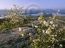 Adirondack Park wallpaper - Click for preview - Old Forge, New York area pictures - Adirondack Park desktop wallpaper, nature photography wallpaper picture copyright Adirondack photographer Carl Heilman II, Brant Lake NY